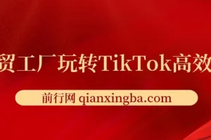外贸工厂TikTok高效获客全攻略：账号定位、爆款打造与多维度引流实战课程