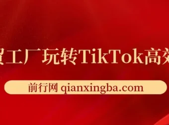 外贸工厂TikTok高效获客全攻略：账号定位、爆款打造与多维度引流实战课程