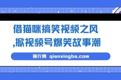 猫咪搞笑视频引爆视频号，爆笑故事轻松变现，零门槛快速上手