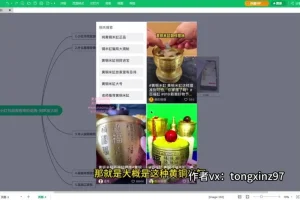 小红书无货源蓝海类目实战教程：高客单价选品与月入过万运营指南