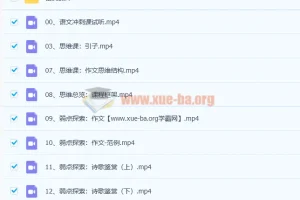 2022树成林平盖尔高考语文冲刺课47讲完整版