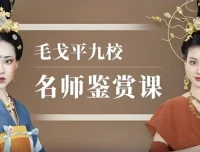 毛戈平九校名师鉴赏课·43节全收录