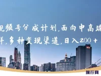 视频号分成计划实操教程，中高端人群变现全攻略，轻松日入200+