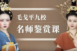 毛戈平九校名师鉴赏课·43节全收录