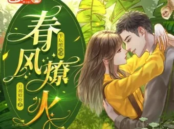 有声小说《春风燎火》多人有声剧全103集 甜撩治愈欢乐向
