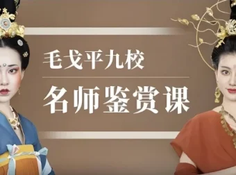 毛戈平九校名师鉴赏课·43节全收录