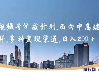 视频号分成计划实操教程，中高端人群变现全攻略，轻松日入200+