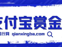 支付宝赏金码微信一键跳转工具，告别繁琐扫码流程