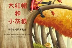 儿童绘本故事《大红帽和小灰狼》PPT课件