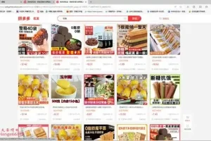 AI健康轻食赚钱秘籍：小白单号日入500+实操教程与四季食谱