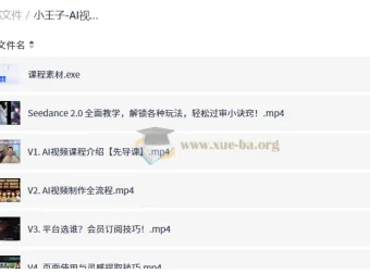 小王子AI视频从0到1系统课，全流程实战教学与变现指南