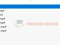王惠单词速记+音标速记（2合1）系统课程