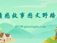 情感故事图文野路子玩法，零基础实操课程，简单搬运也能月入过万