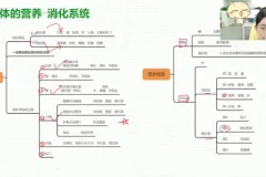 初一生物春季系统课程：人体八大系统精讲与期末备考资料包