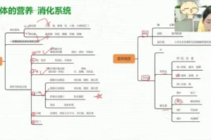 初一生物春季系统课程：人体八大系统精讲与期末备考资料包