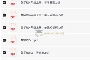 2026白鸥数学情景题4-5年级上册 人教RJ版全册资料包