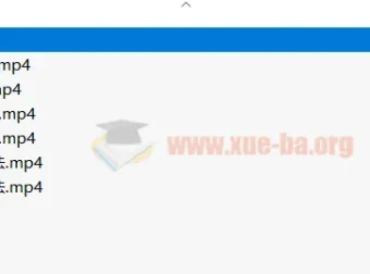 王惠单词速记+音标速记（2合1）系统课程