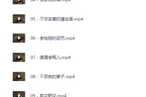 B站充电专属：吸奇侠《金瓶梅》系列深度解说合集