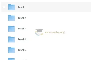 小学语文有道分阶写作课Level 1-6全套视频课程