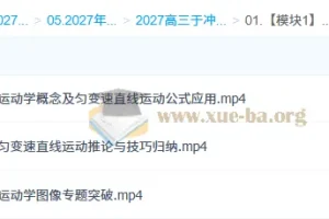 2027高三物理一轮复习精品课 于冲主讲 直线运动专题突破
