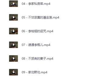 B站充电专属：吸奇侠《金瓶梅》系列深度解说合集