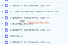 2024届初三数学中考备考（王杭州）A+暑假班 人教同步提升