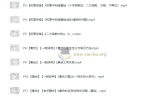 高中数学数学辞典知识点击破 系统课程助你攻克数学难关