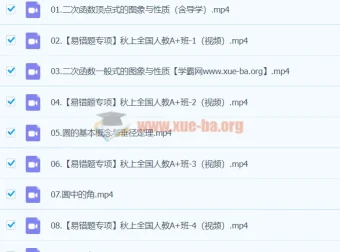 2024届初三数学中考备考（王杭州）A+暑假班 人教同步提升