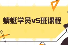 斜杠蜻蜓学员v5班课程 高利润电商实操全流程