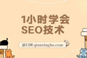 1小时学会SEO技术 网站排名优化实战高级教程-秒杀市面95%收费几千的SEO教程