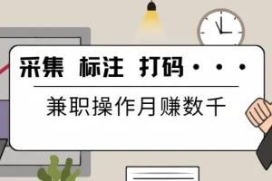 线上数据兼职实操教程合集：采集、标注、打码全流程培训与配套软件