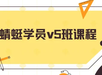 斜杠蜻蜓学员v5班课程 高利润电商实操全流程