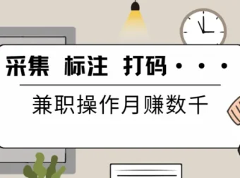 线上数据兼职实操教程合集：采集、标注、打码全流程培训与配套软件