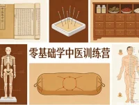 零基础学中医训练营：唐略老师带你3个月构建中医思维体系