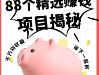 88个精选赚钱项目揭秘：从引流到变现的全套实战资料