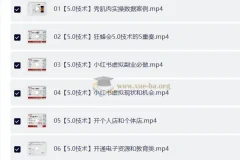 AI实操 小红书虚拟赚钱项目