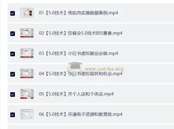 AI实操 小红书虚拟赚钱项目