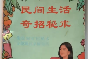 民间生活奇招秘术：90年代民间智慧实用宝典