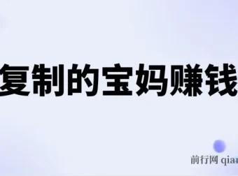 可复制的宝妈赚钱课：20节实战课，从副业到事业的完整路径
