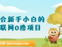新手小白零基础互联网0撸项目，手机操作轻松日入三位数