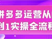 拼多多运营从0到1实操全流程，新手开店到爆款打造系统课程