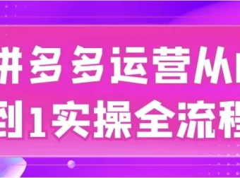 拼多多运营从0到1实操全流程，新手开店到爆款打造系统课程