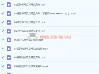 王慧志硬笔书法私房课100节合集：从笔画基础到结构进阶的系统练字指南
