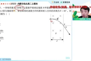 2025高二物理尖端班：电磁感应+电学实验+动量专题系统课