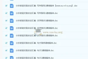 2025小升初语文总复习专项知识点46套Word文档合集