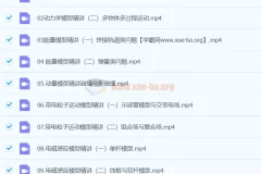 2024高三高考物理 崔春雨 春季班 二轮专题突破课程