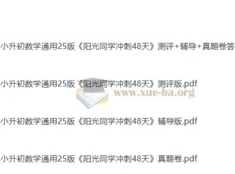 2025版小升初《阳光同学冲刺48天》小学数学 测评+辅导+真题卷全套