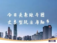 今日头条图文账号实操教程：从注册到批量产出文章的全流程细节