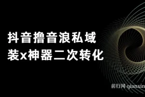 抖音撸音浪私域装X神器二次转化，不露脸直播单日变现超500实操教程