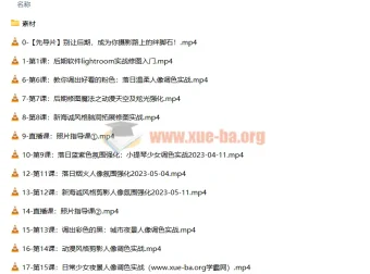 一晨叔叔人像修图调色实战训练营 系统提升后期修图全流程技能